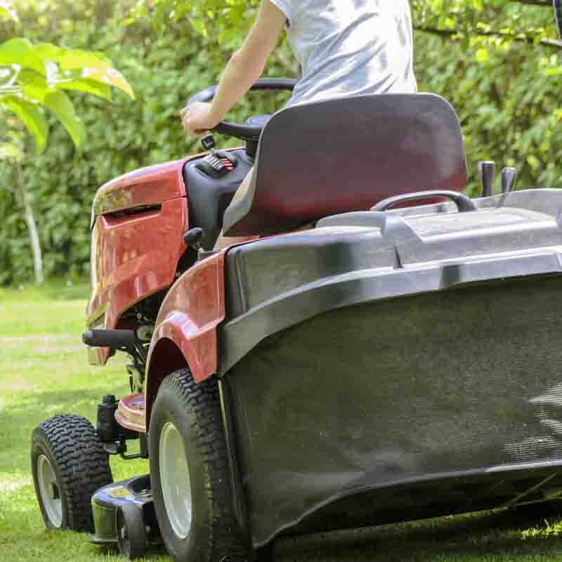 mowing-the-grass lawn mower